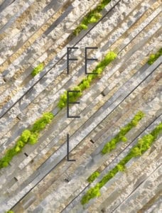 D+O_design_studio_branding_grassi_pietre_catalogue_2012_02
